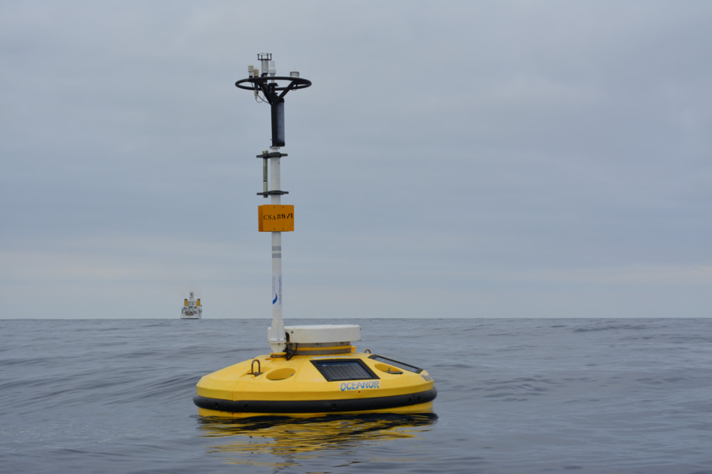 Mês de junho regista temperaturas da água do mar acima da média dos último 20 anos