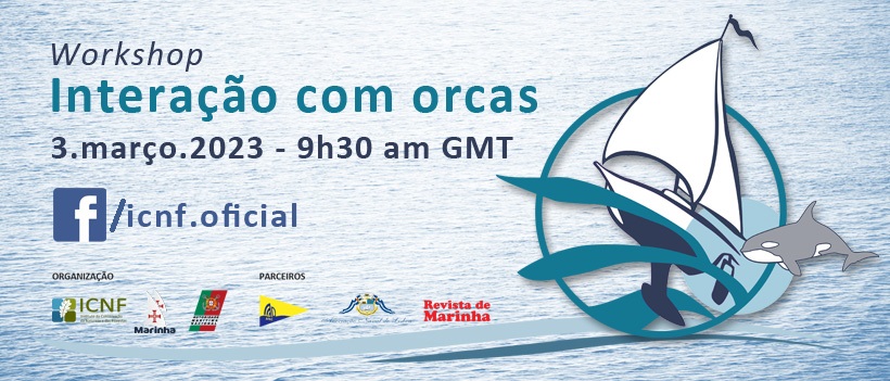 Workshop "Interação com Orcas"