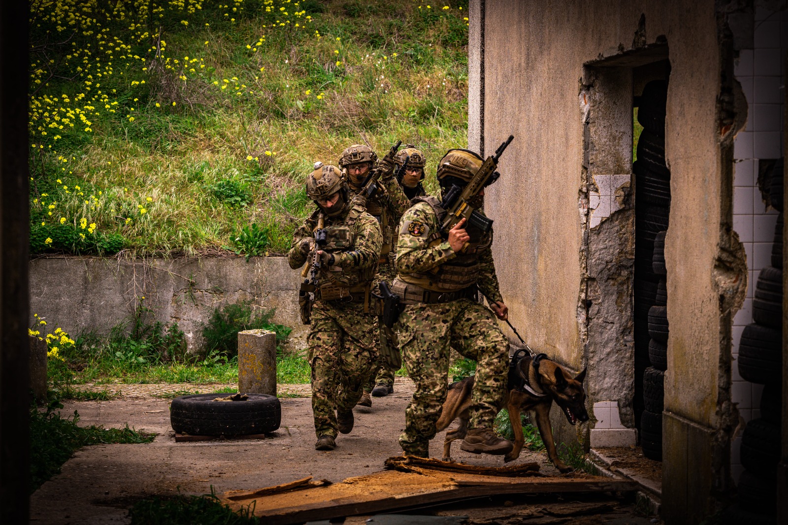 Fuzileiros em exercício de treino com auxilio de cão