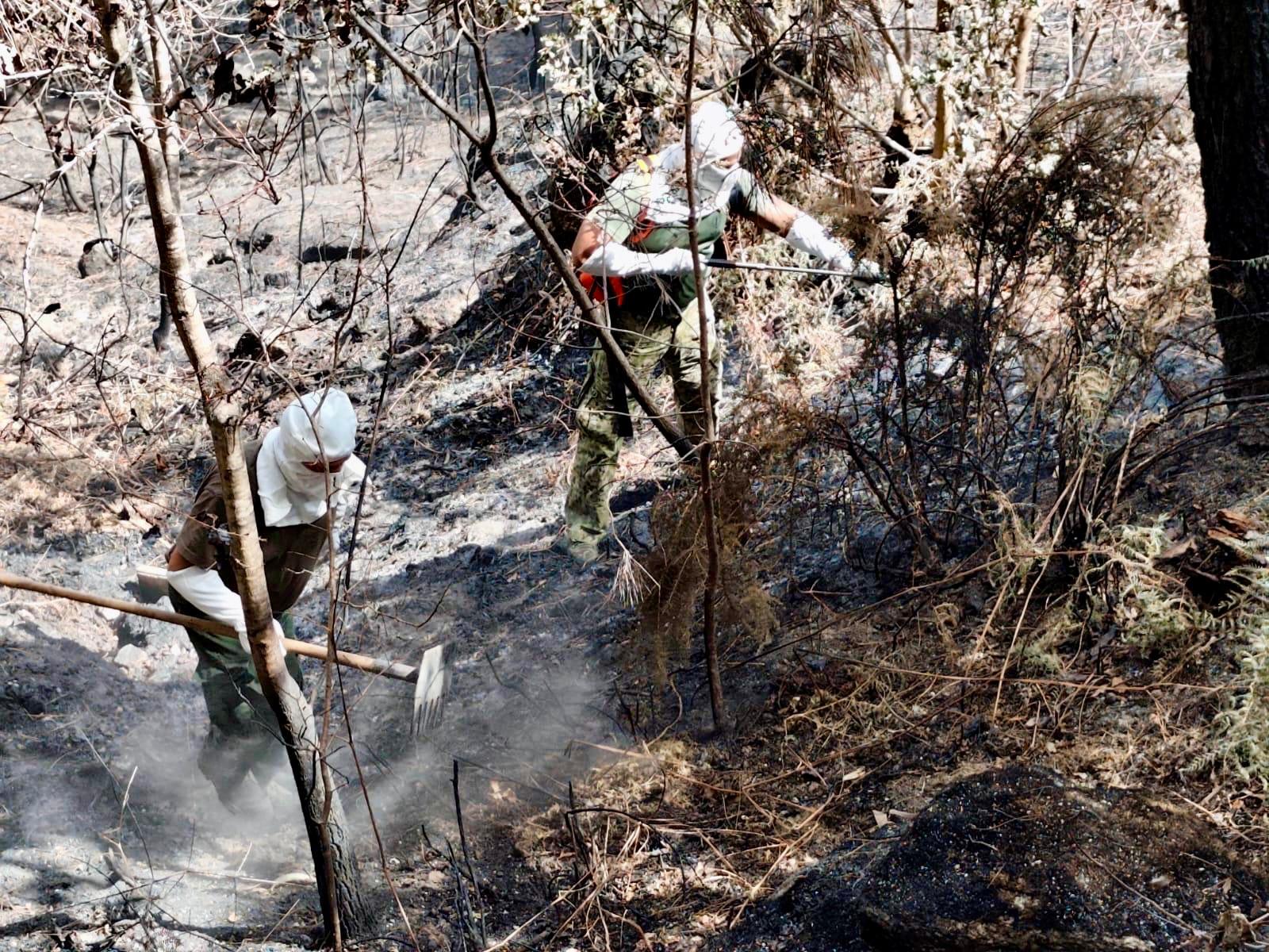 Marinha continua empenhada no combate aos incêndios