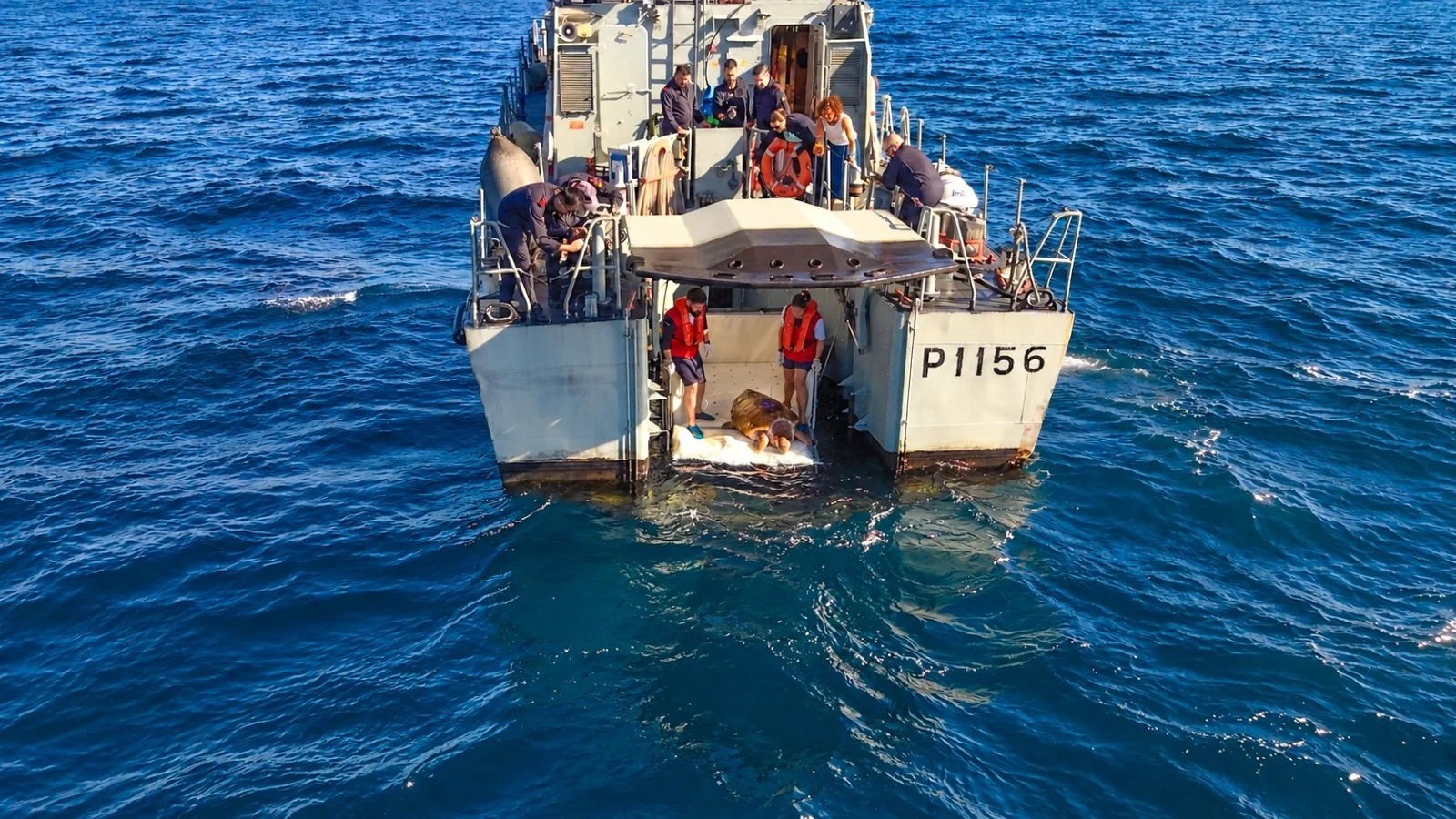 NRP Oríon 