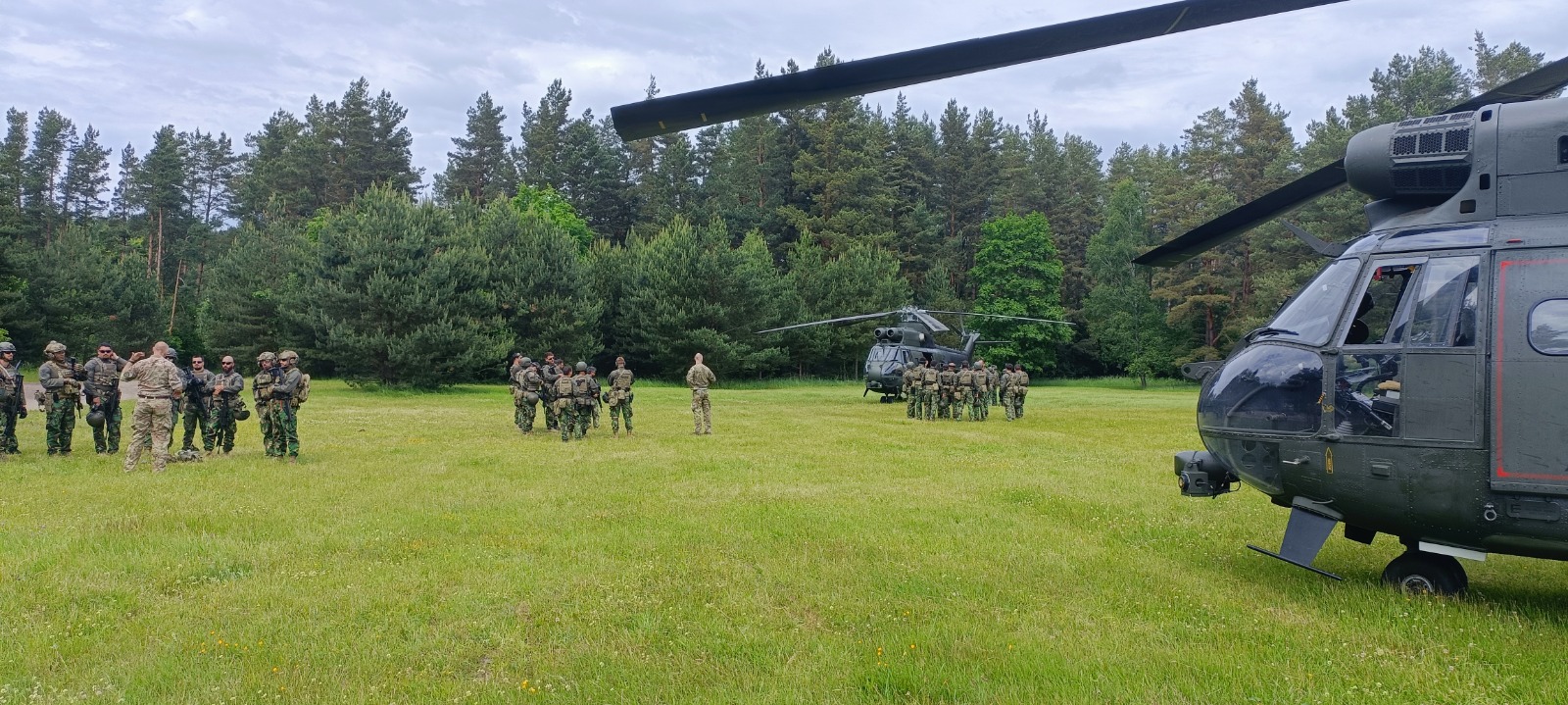 Fuzileiros na Lituânia participam no exercício "Griffin Thunder"