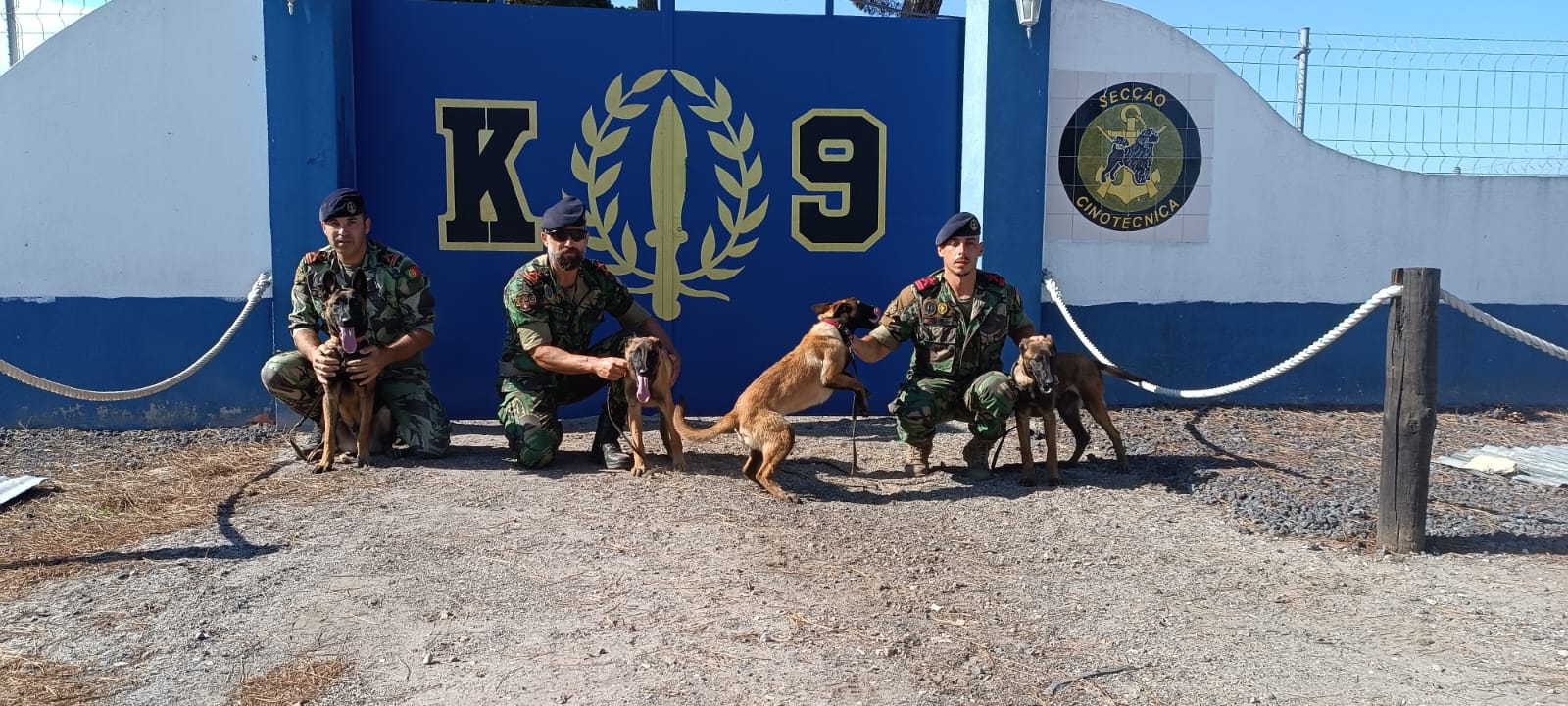 Novos recrutas de quatro patas na Escola de Fuzileiros