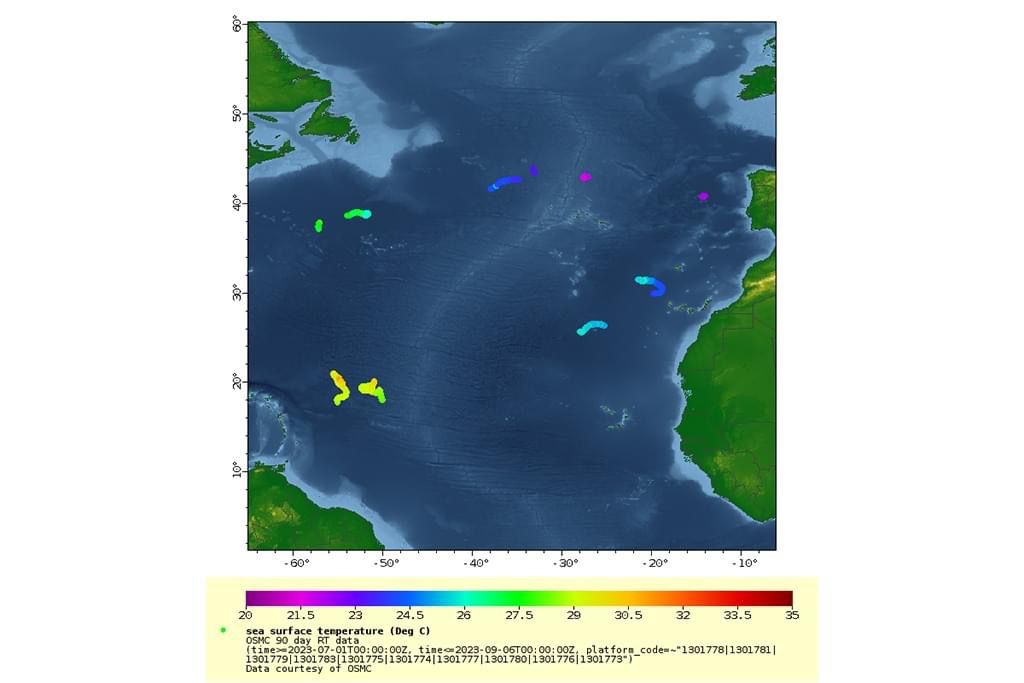 Instituto Hidrográfico lança boias derivantes a bordo do NRP Sagres
