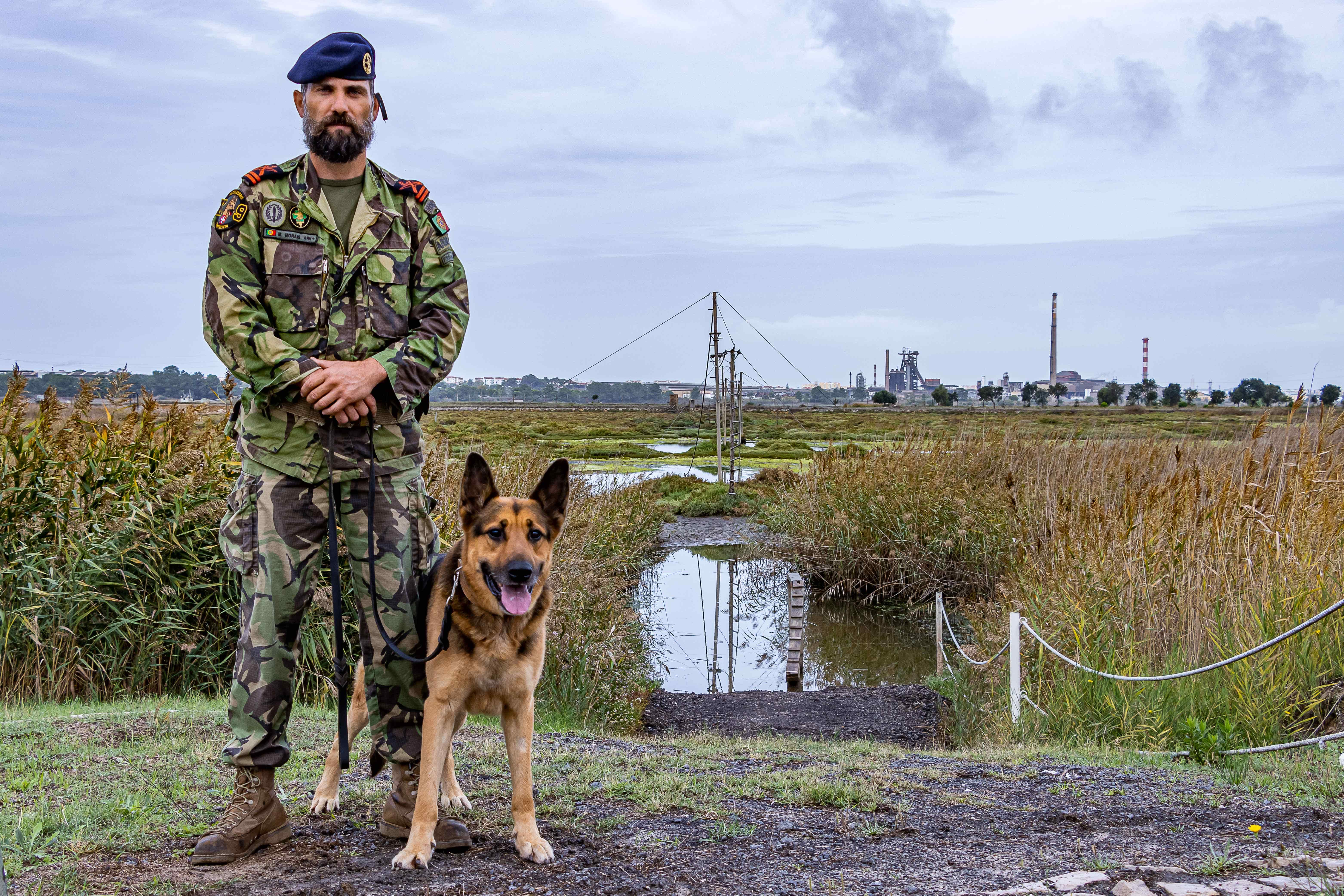 Cão Rex dos Fuzileiros