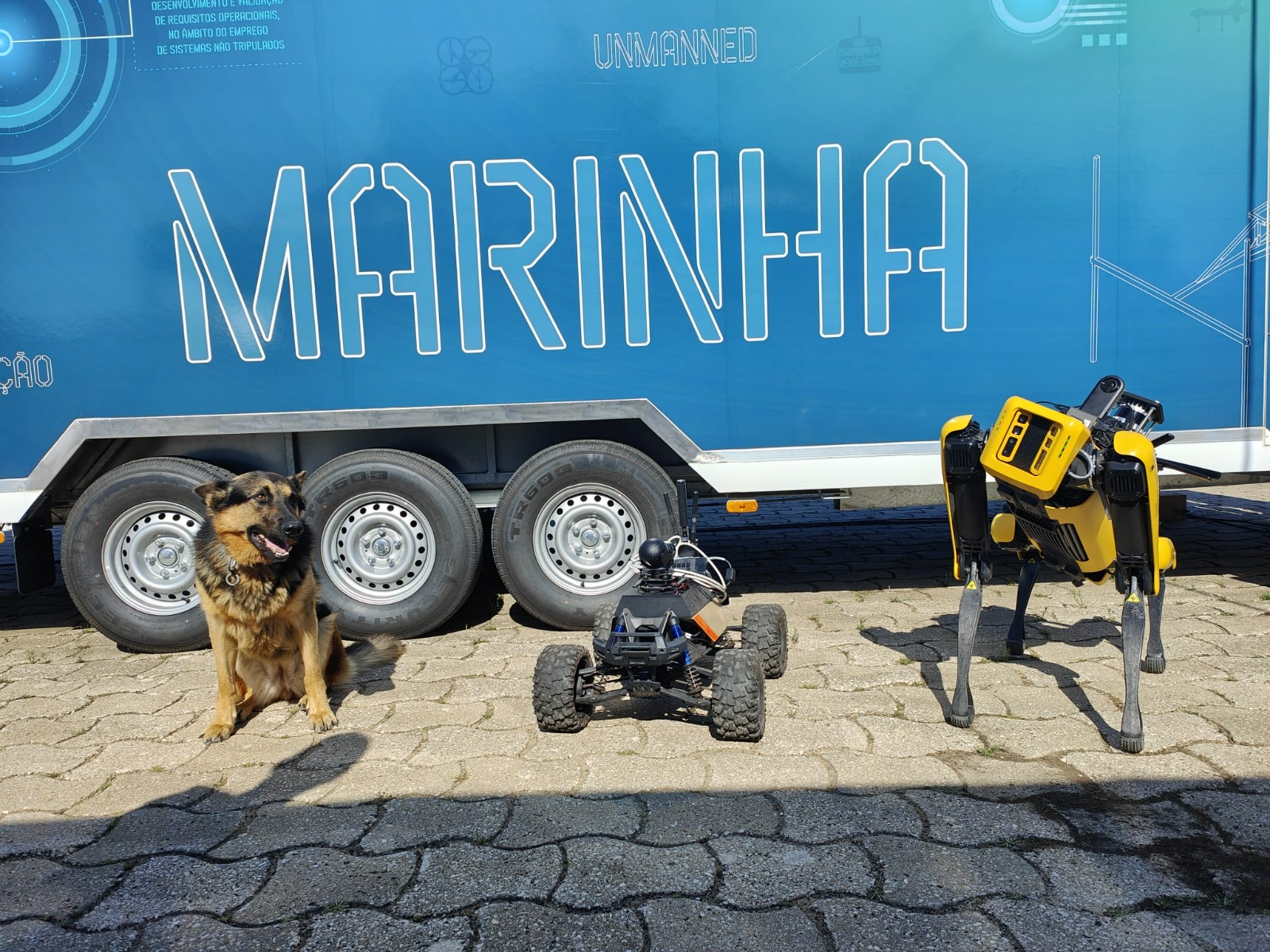 cão, cão robô e drone
